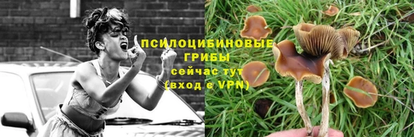 соль курить ск Вяземский