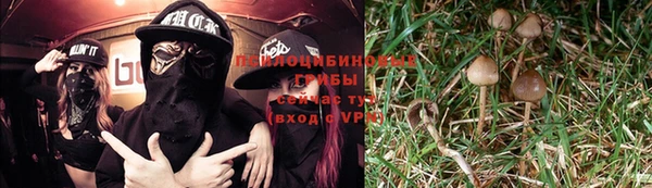 соль курить ск Вяземский