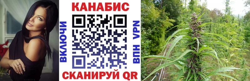 Купить закладки  Павлово  Шишки марихуана Amnesia 